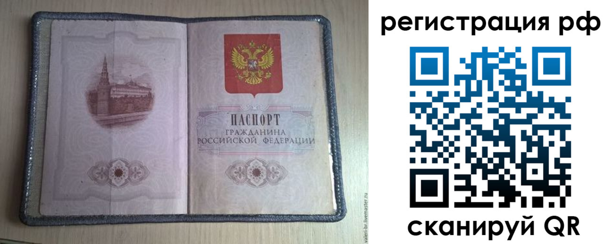 прописка поиск в Елизово